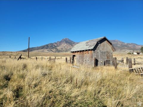 Tiny photo for 5450 W 20400 N, Plymouth, UT 84330 (MLS # 2116489)