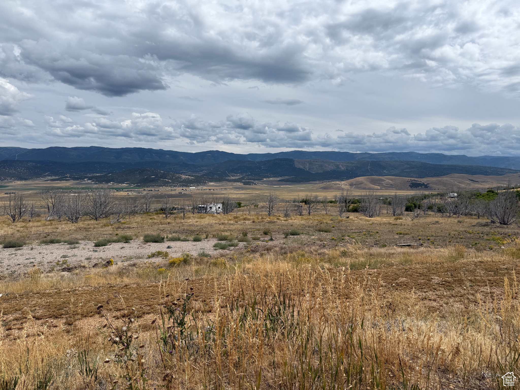 INDIAN RIDGE - Land