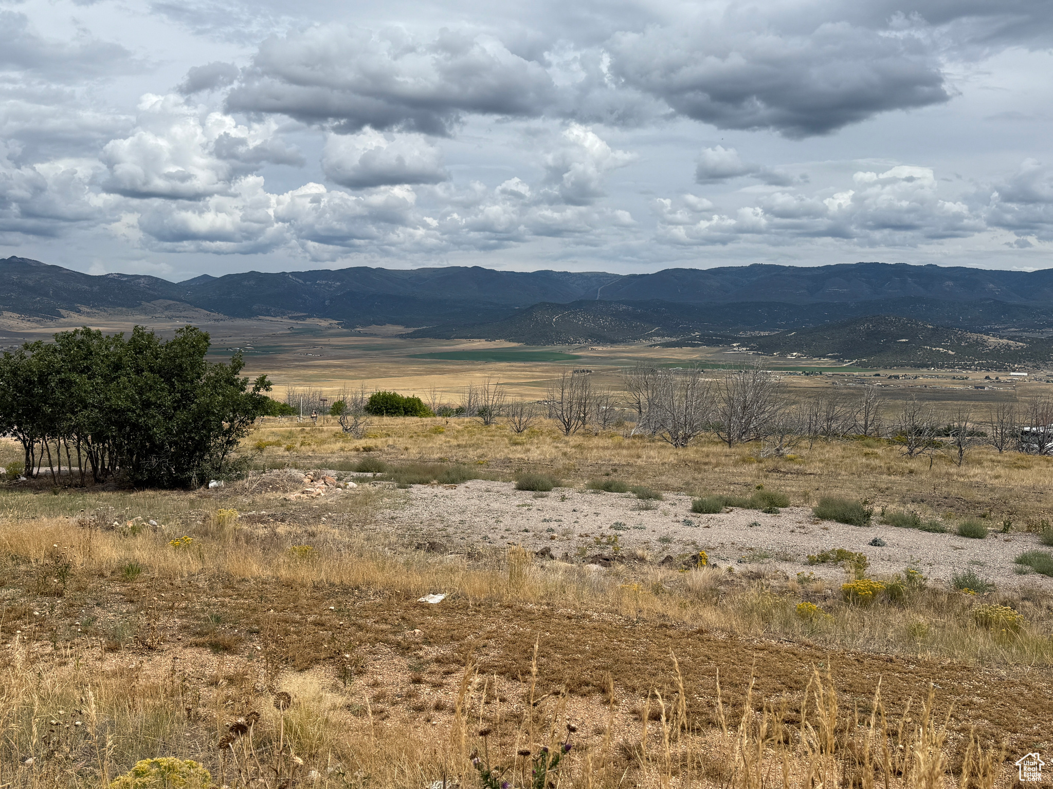 INDIAN RIDGE - Land