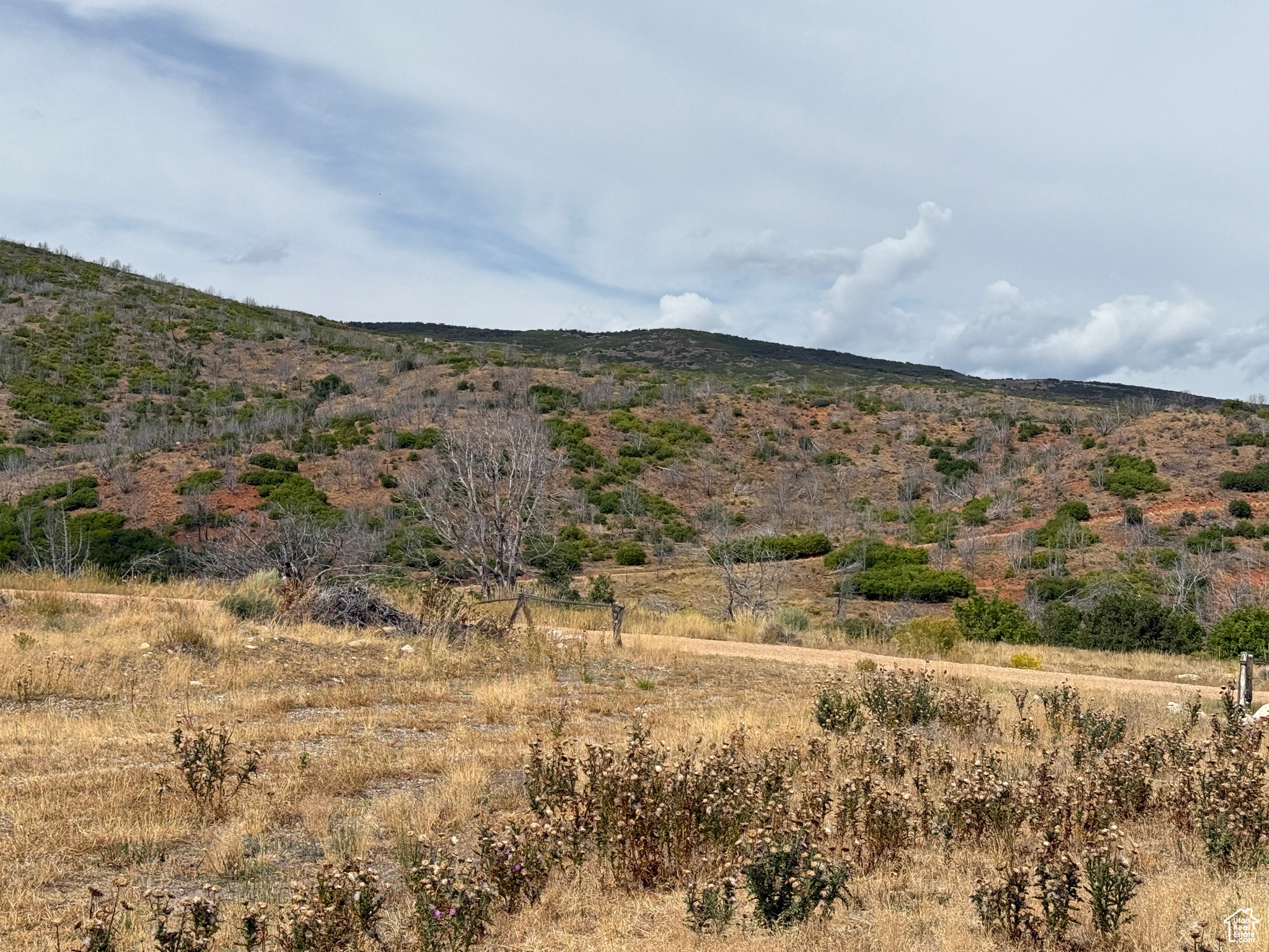 INDIAN RIDGE - Land