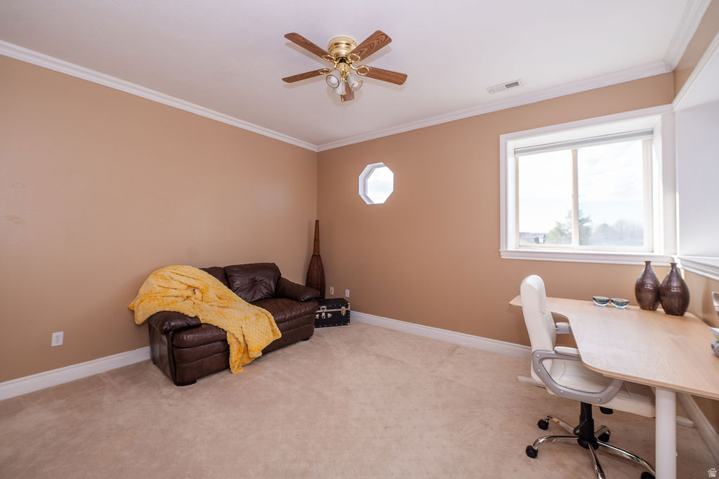 PLEASANT MEADOWS - Residential Income