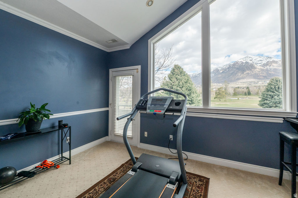 PLEASANT MEADOWS - Residential Income