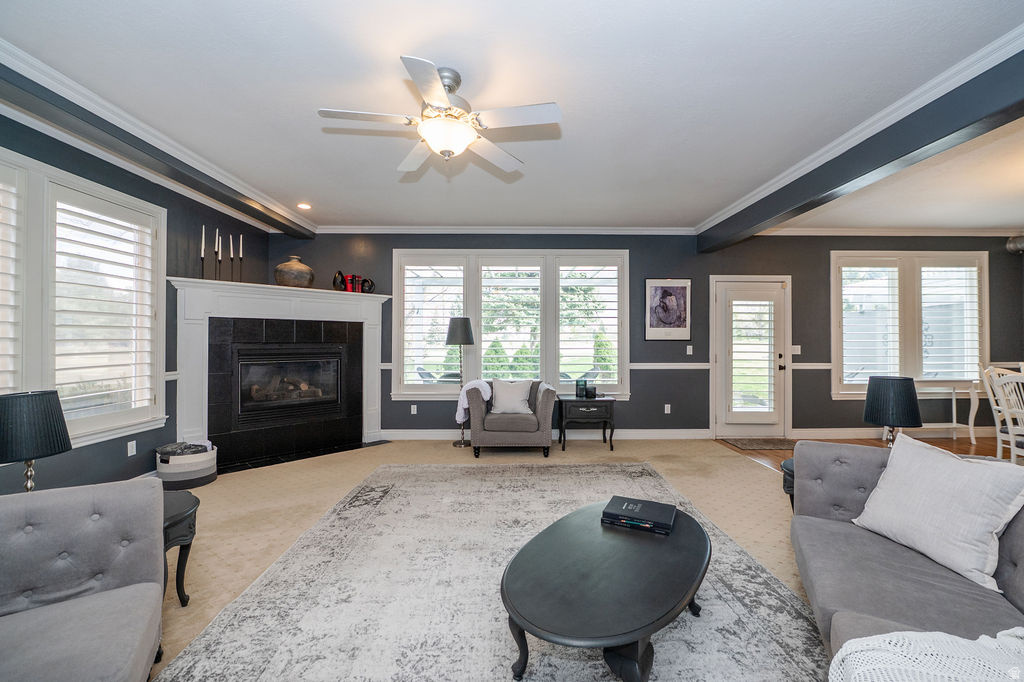 PLEASANT MEADOWS - Residential Income