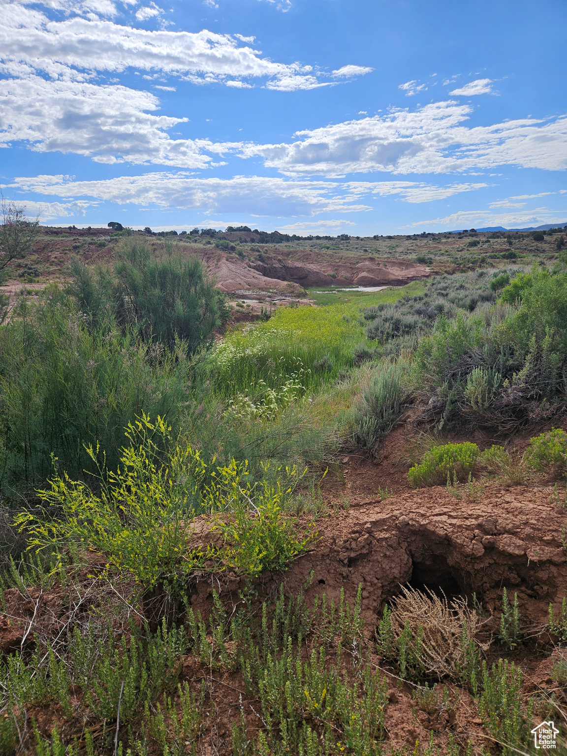 14708 S Canyon Peak Dr #23, Draper, Utah image 7