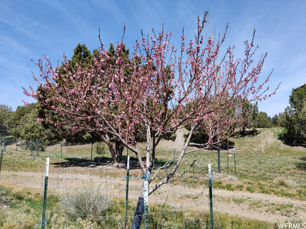 7825 W Mountain Top Rd, Herriman, Utah image 49