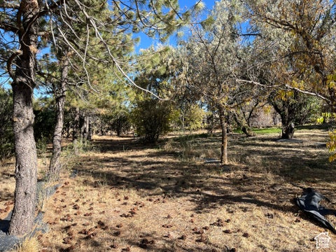 Tiny photo for 11311 N 8400 W, Malad City, ID 83252 (MLS # 2189846)