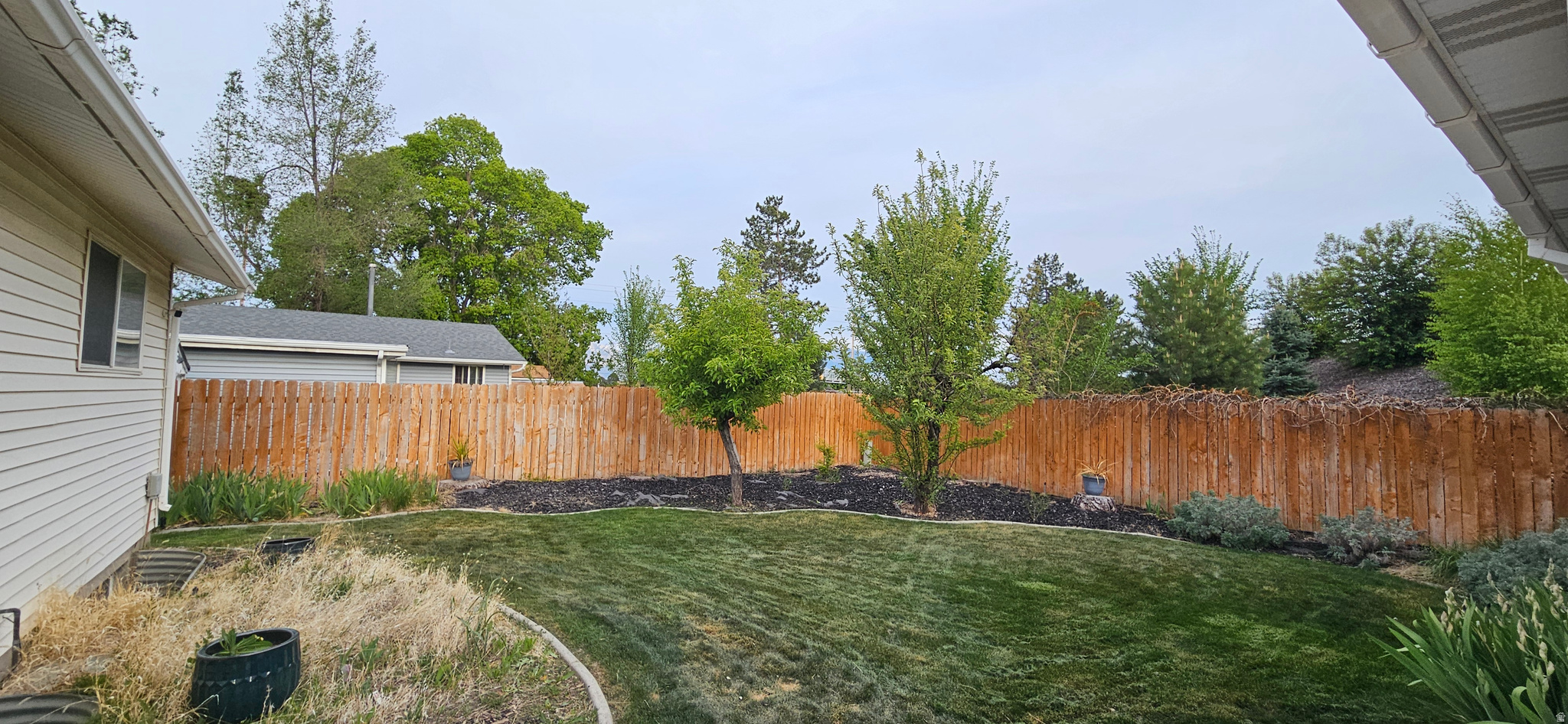 HAZELHURST #6 - Residential