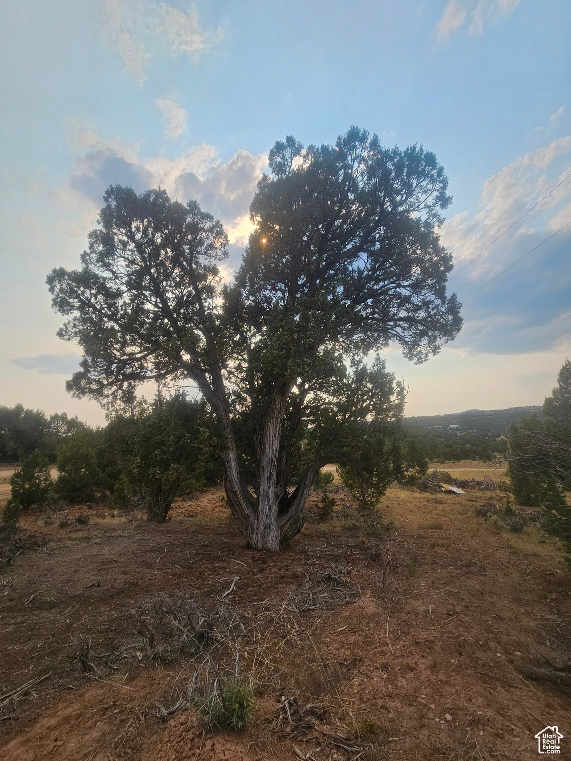 BANDANNA RANCH - Land