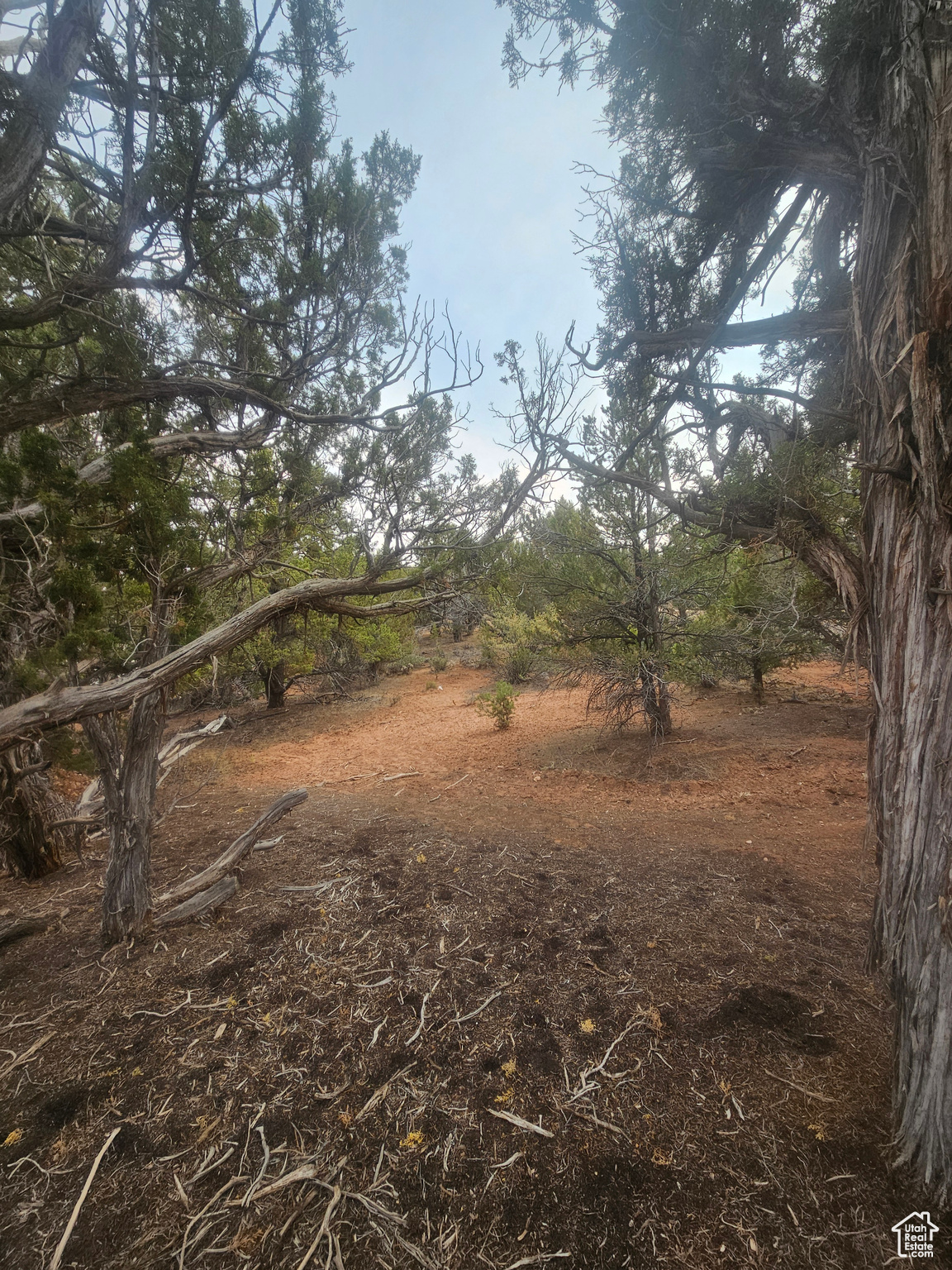 BANDANNA RANCH - Land