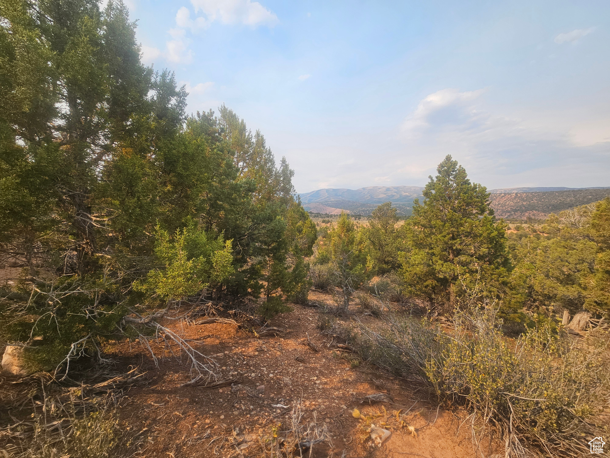 BANDANNA RANCH - Land