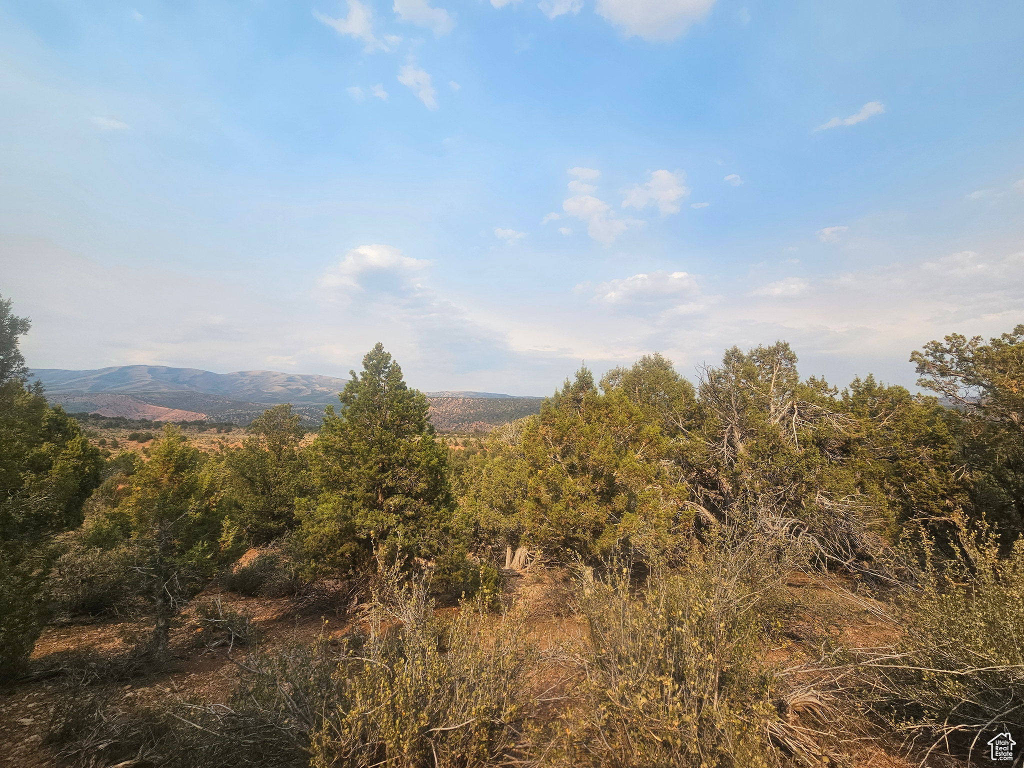 BANDANNA RANCH - Land