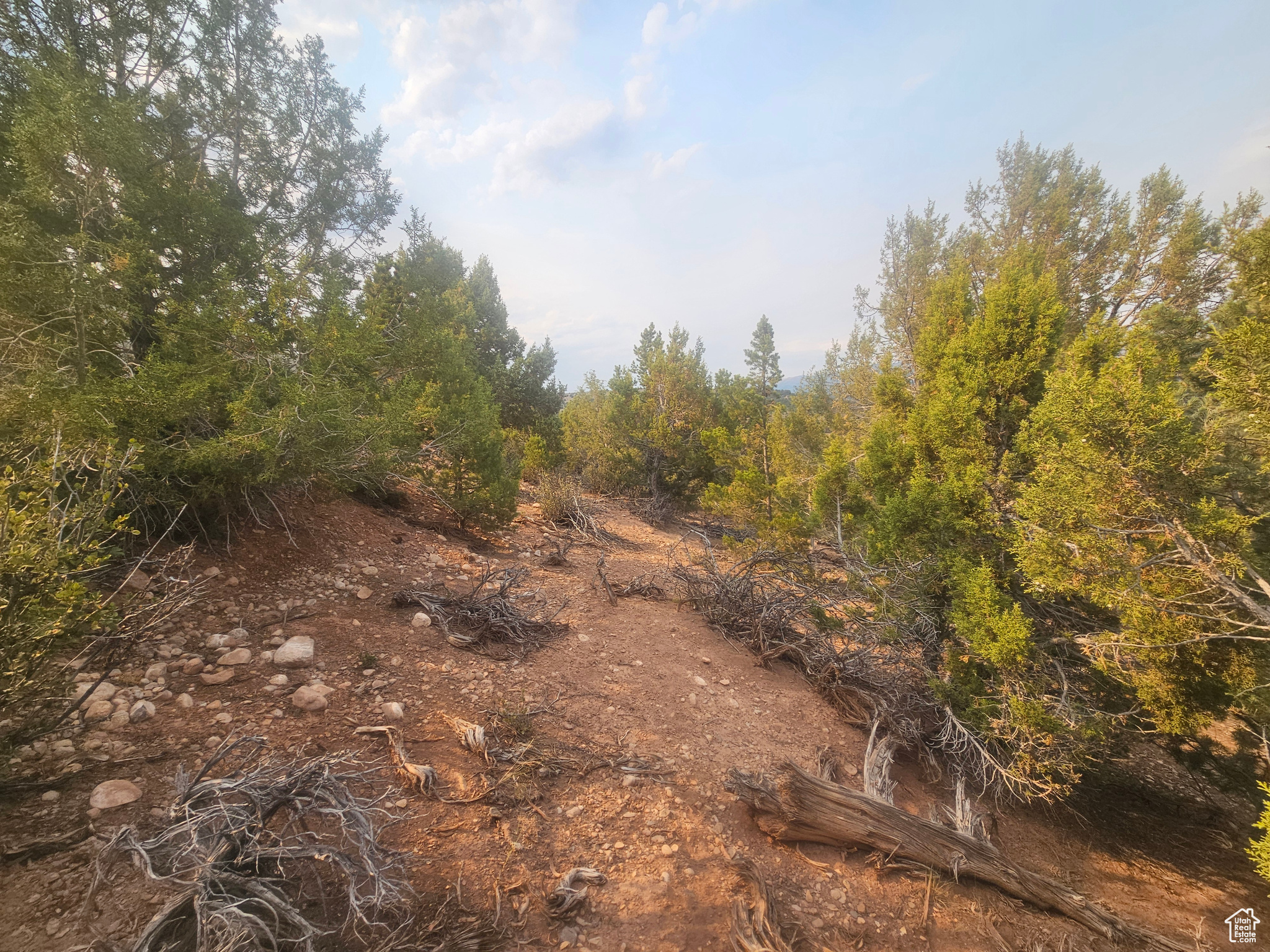 BANDANNA RANCH - Land