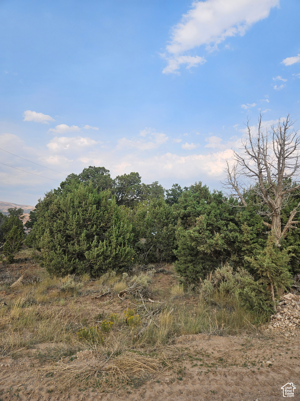 BANDANNA RANCH - Land