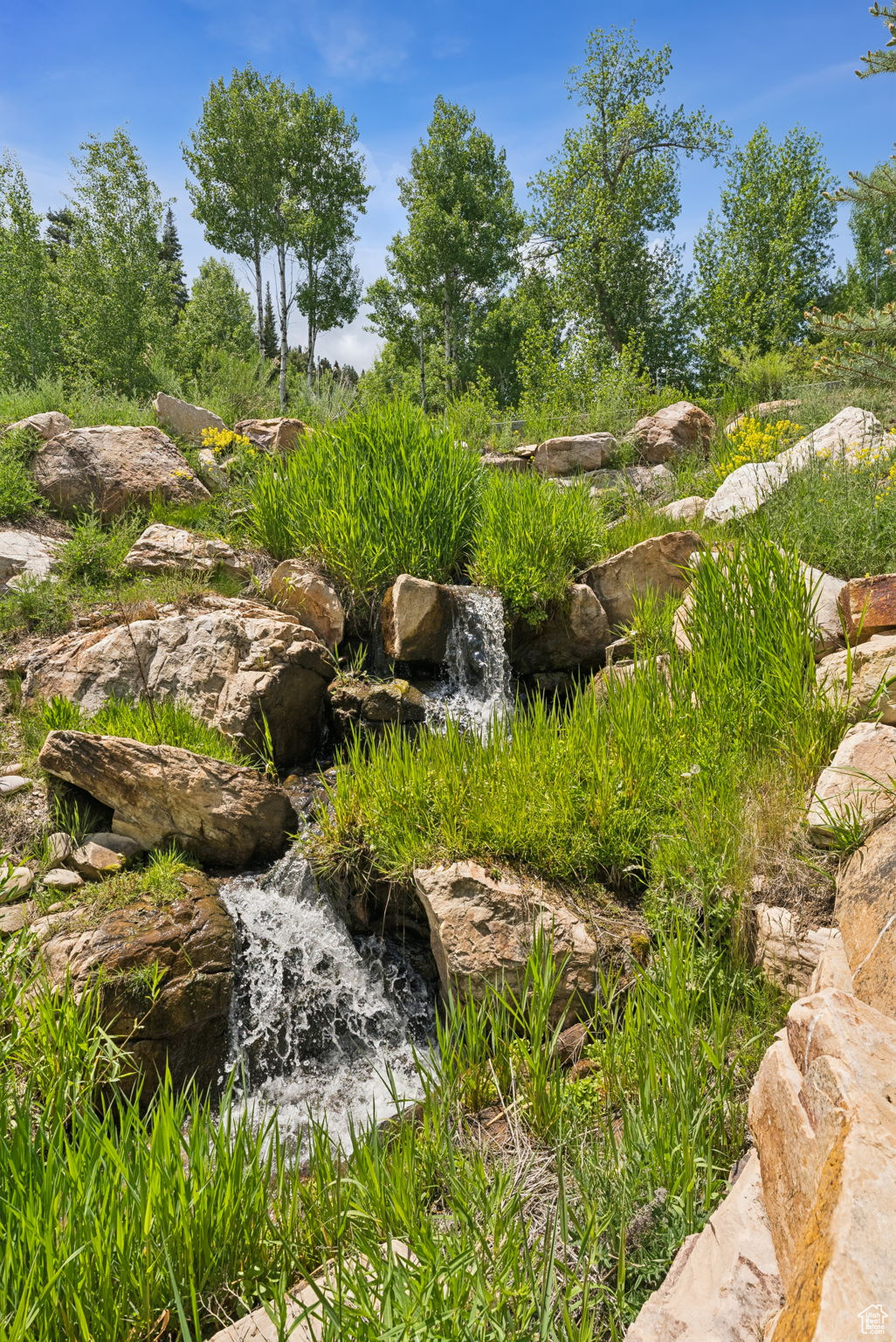 ENCLAVE AT CEDAR DRAW - Residential