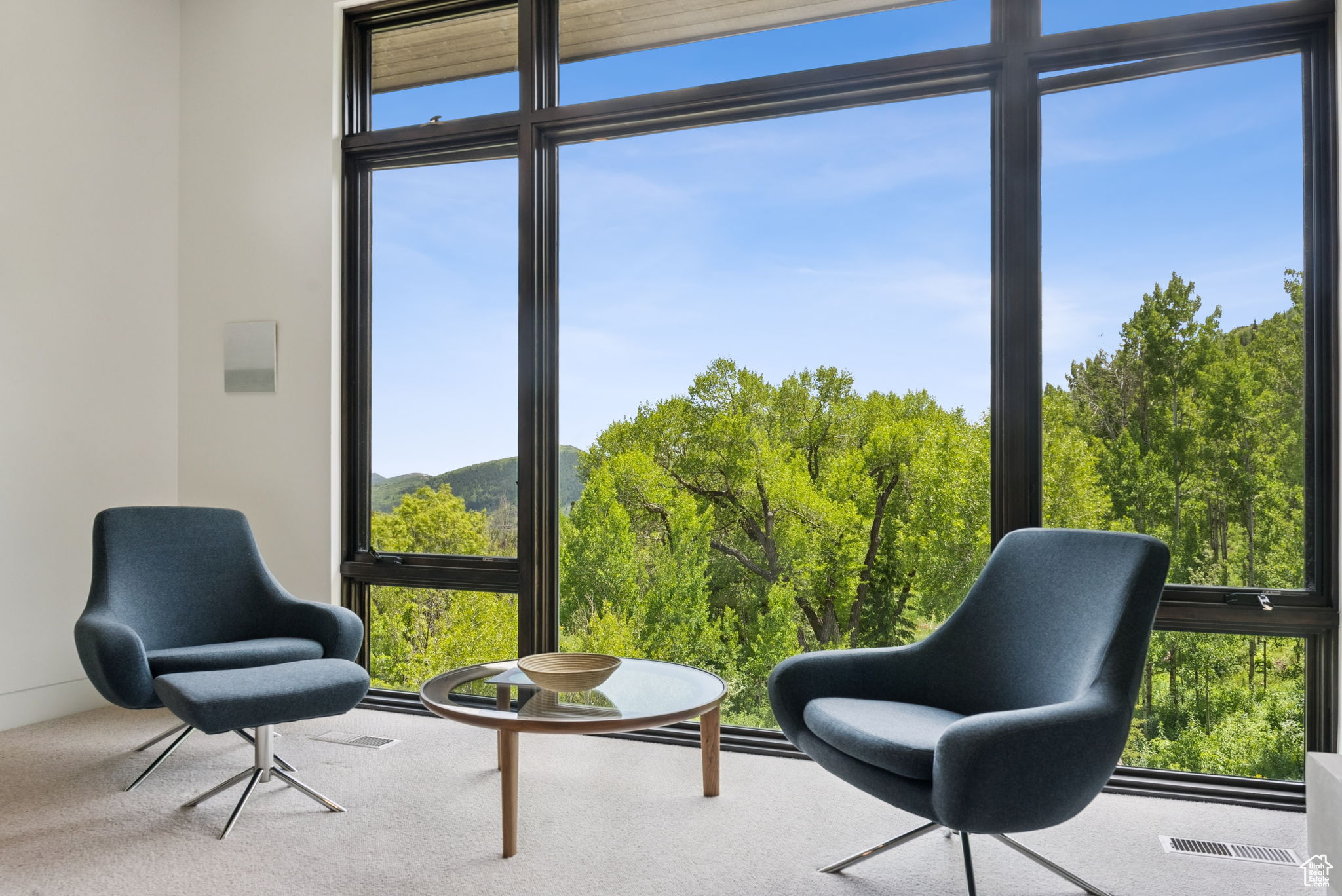 ENCLAVE AT CEDAR DRAW - Residential