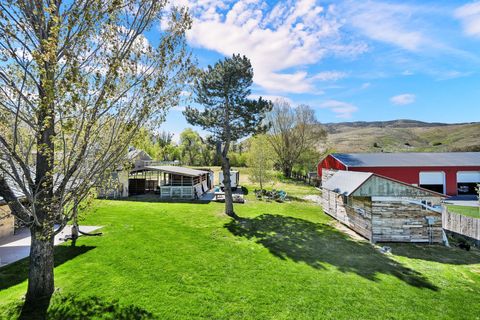 Tiny photo for 59 N 100 W, Mantua, UT 84324 (MLS # 2158368)