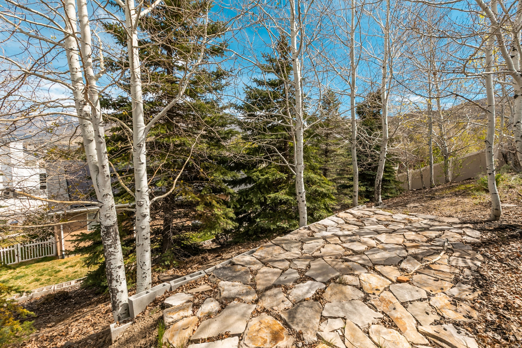 SOUTH MOUNTAIN - Residential