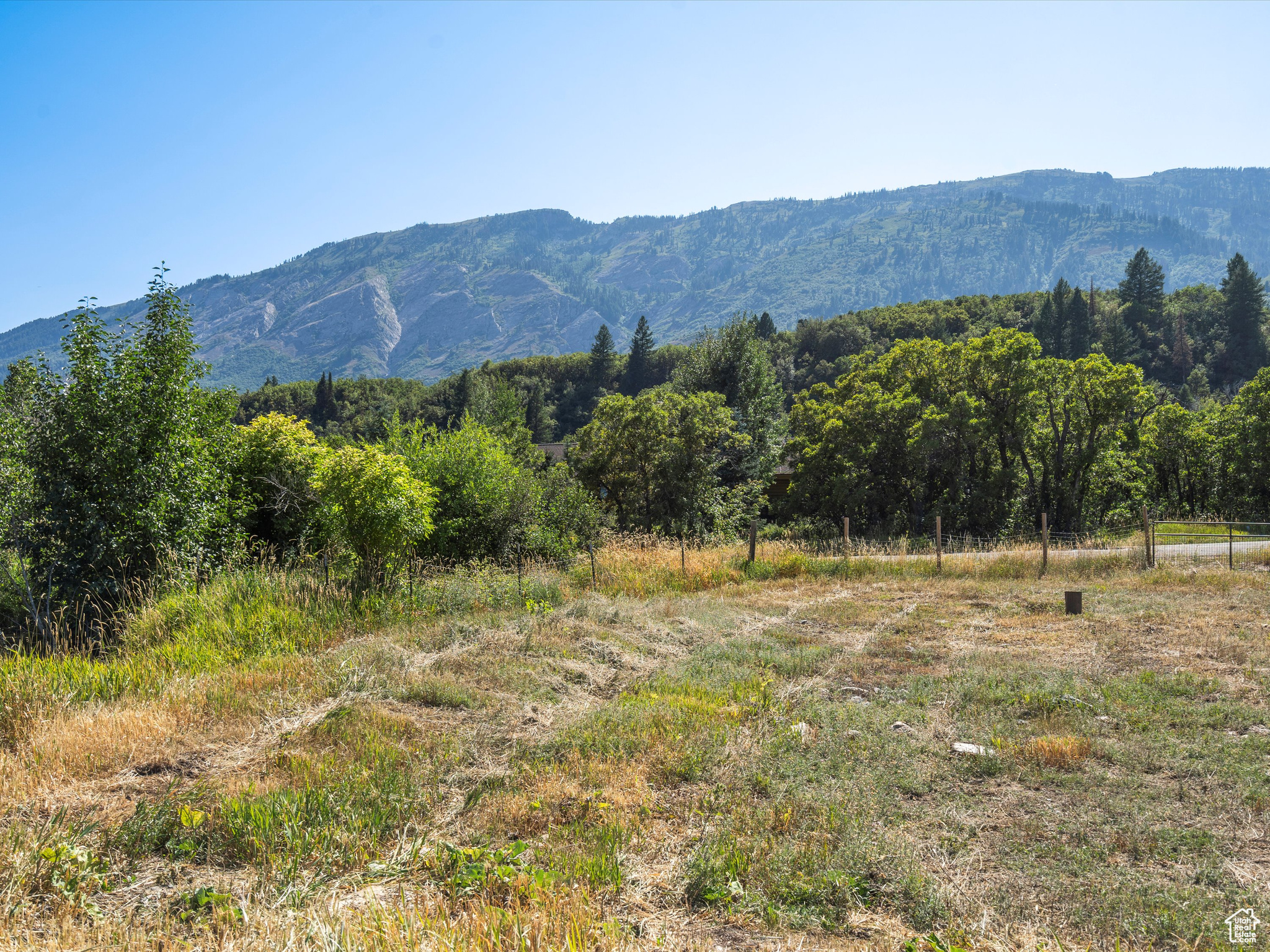 6770 N Fork Rd, Eden, Utah image 20