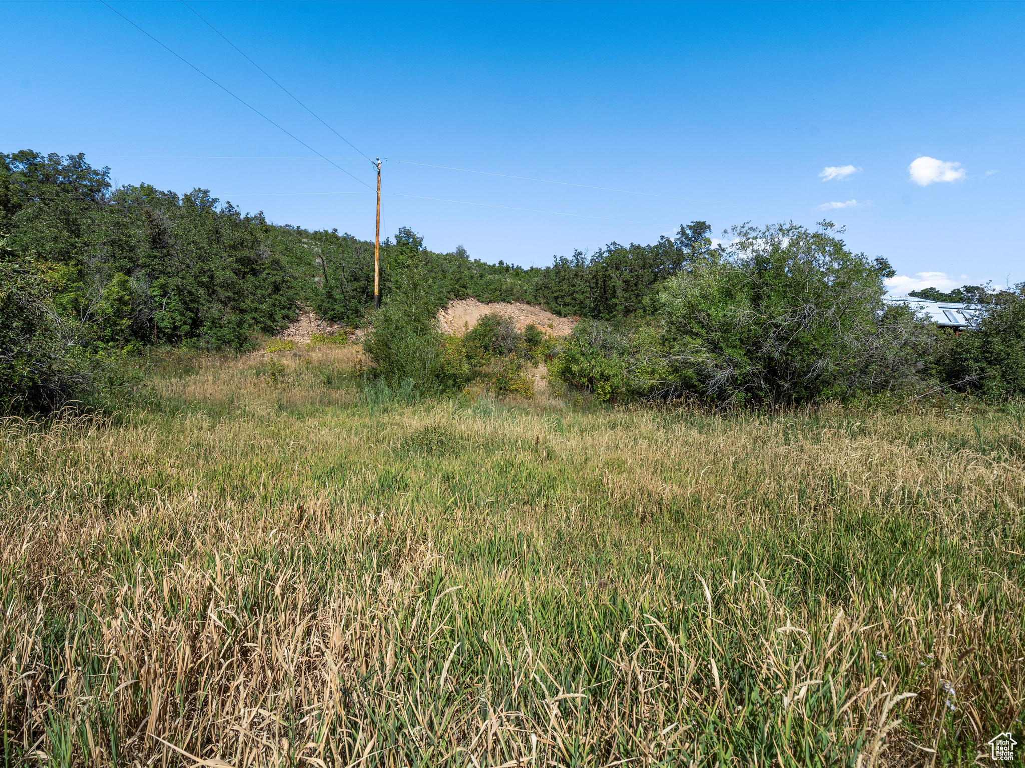 6770 N Fork Rd, Eden, Utah image 18