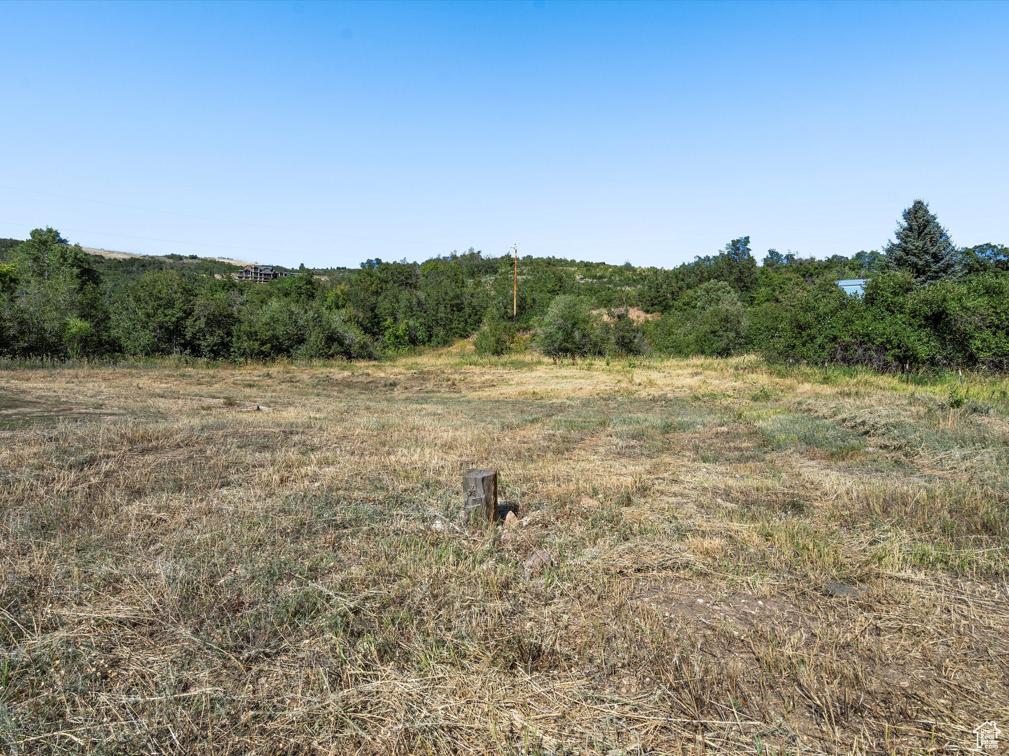6770 N Fork Rd, Eden, Utah image 16