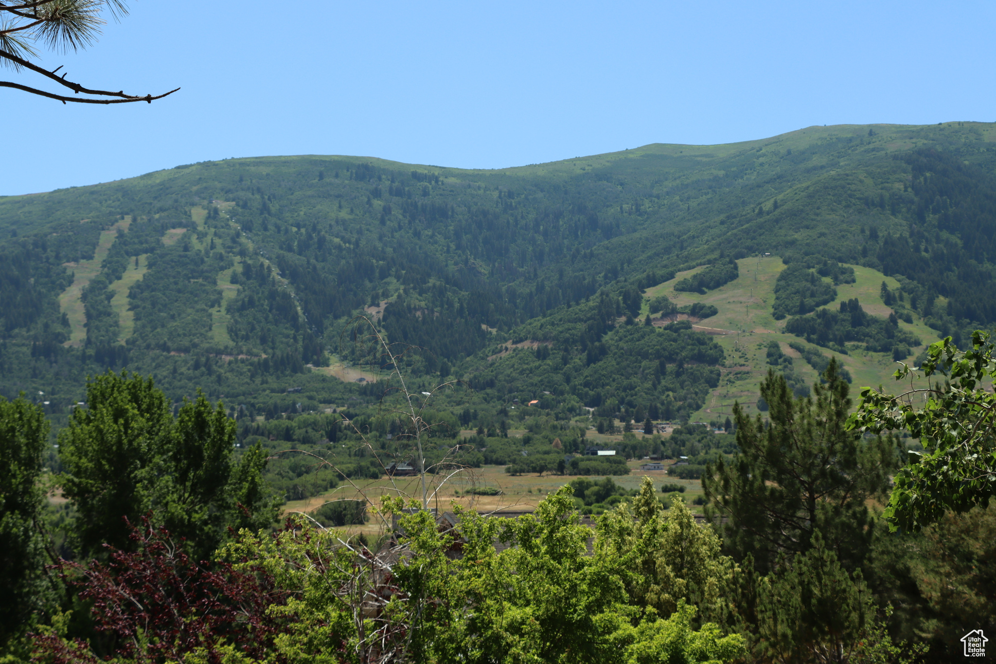 SUMMIT AT SKI LAKE - Land