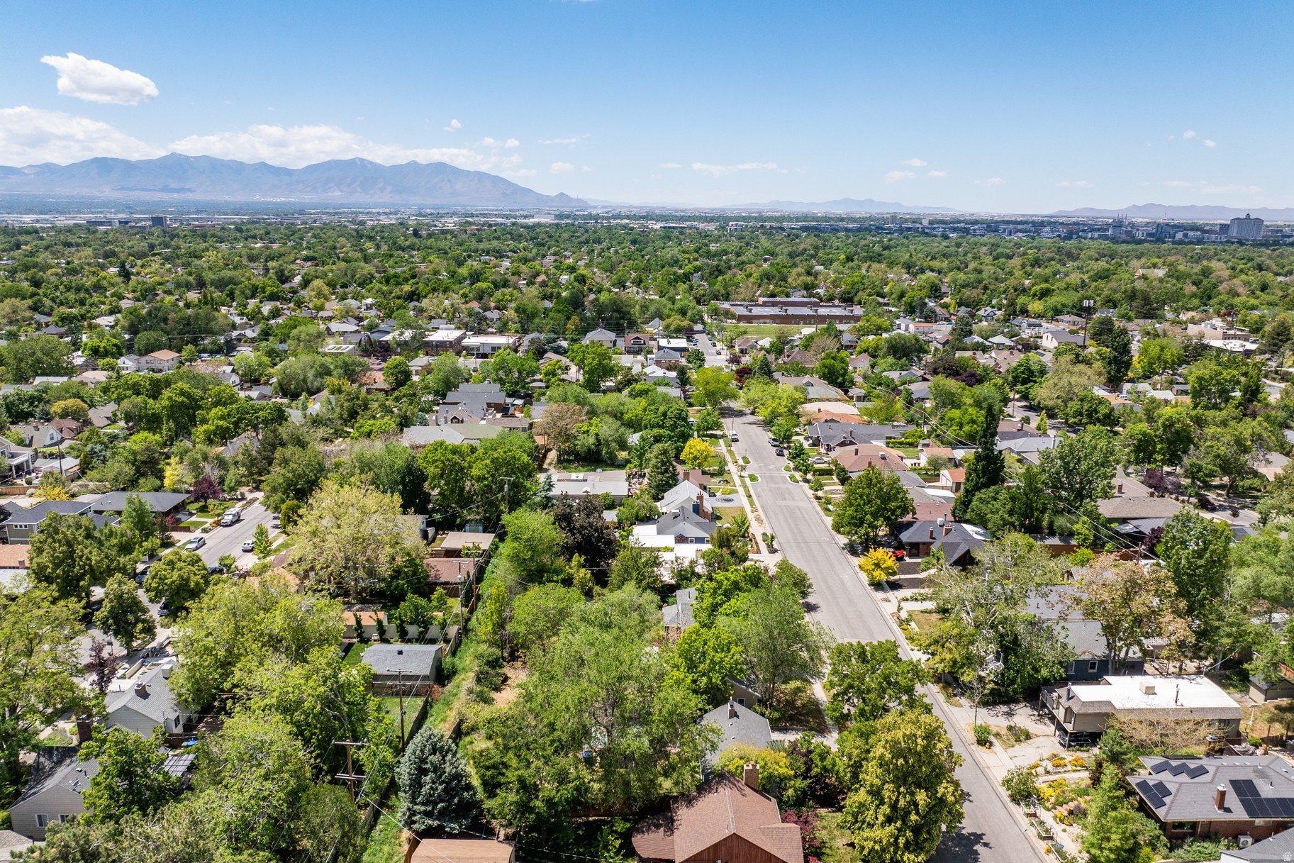 LINCOLN PARK - Residential