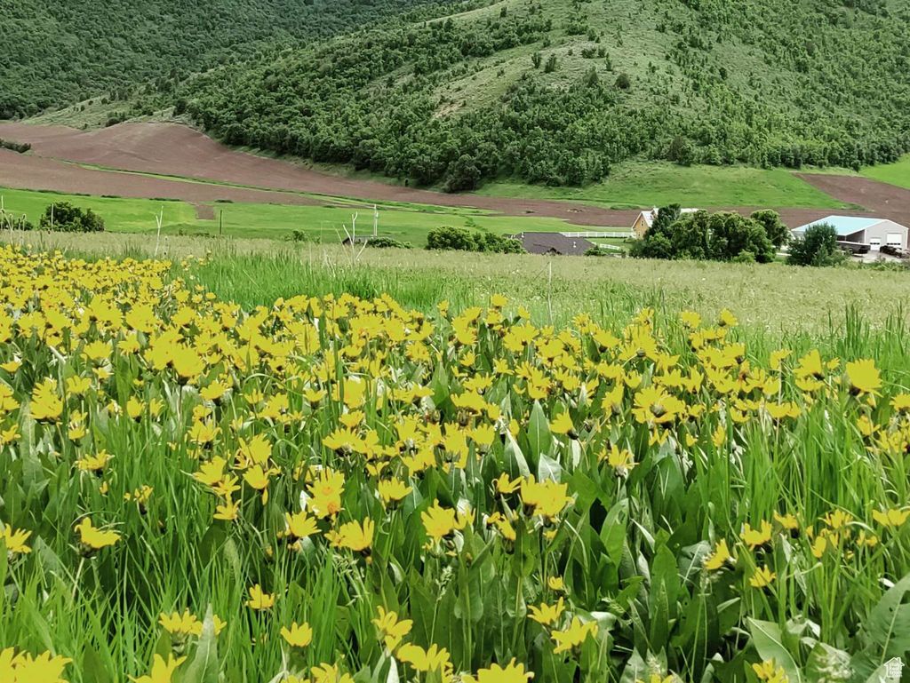 Photo of 4675 GLENDALE RD, Preston, ID 83263 (MLS # 2094822)