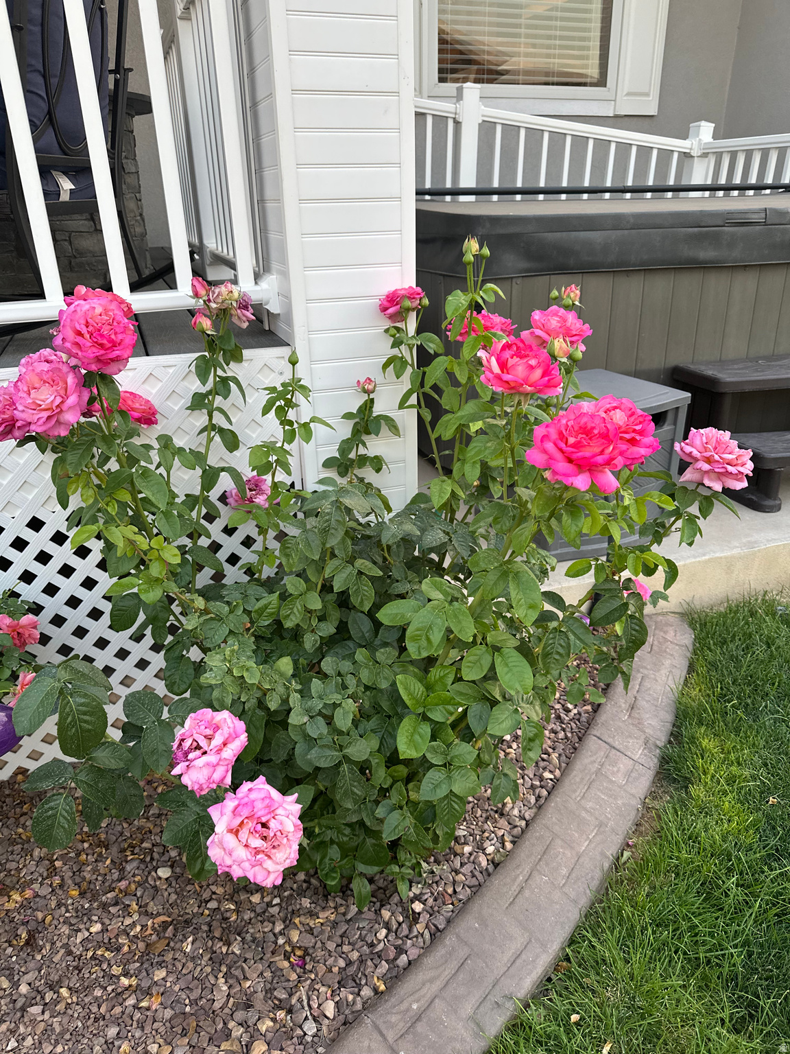 AS AMENDED COOPER - Residential