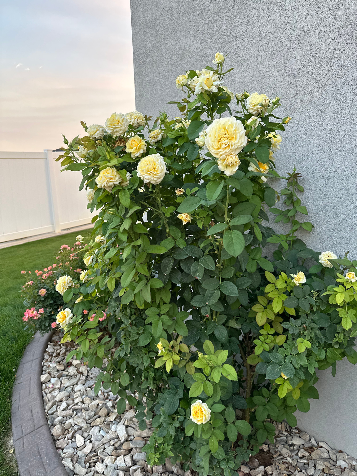 AS AMENDED COOPER - Residential