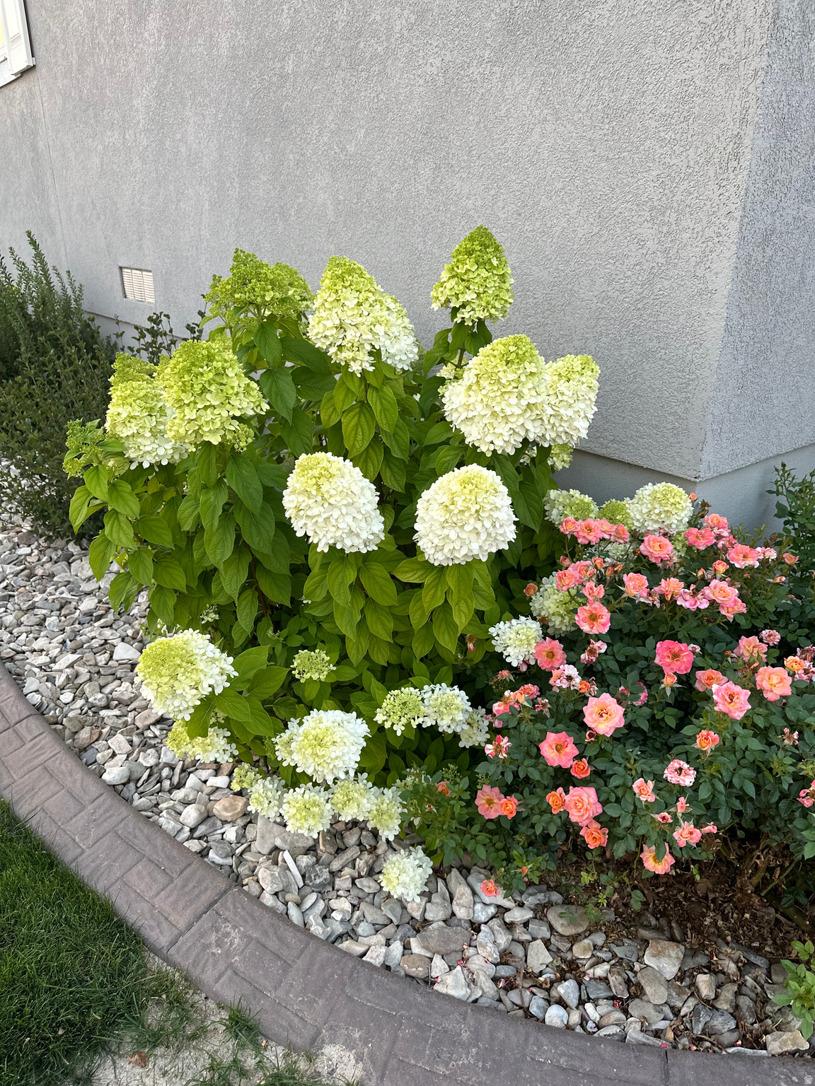 AS AMENDED COOPER - Residential