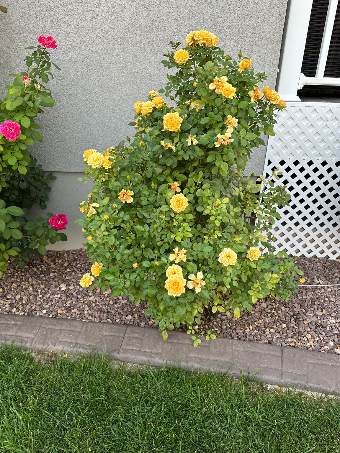 AS AMENDED COOPER - Residential