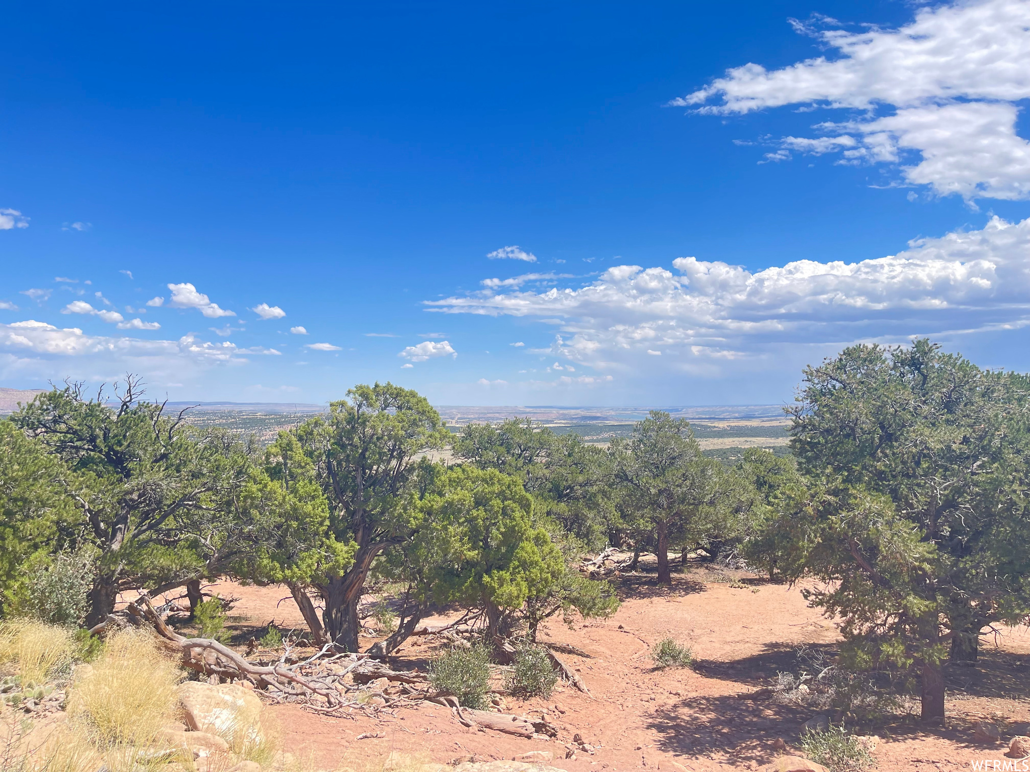 9 Lot 120 Cedar Mt. #120, Duchesne, Utah image 7