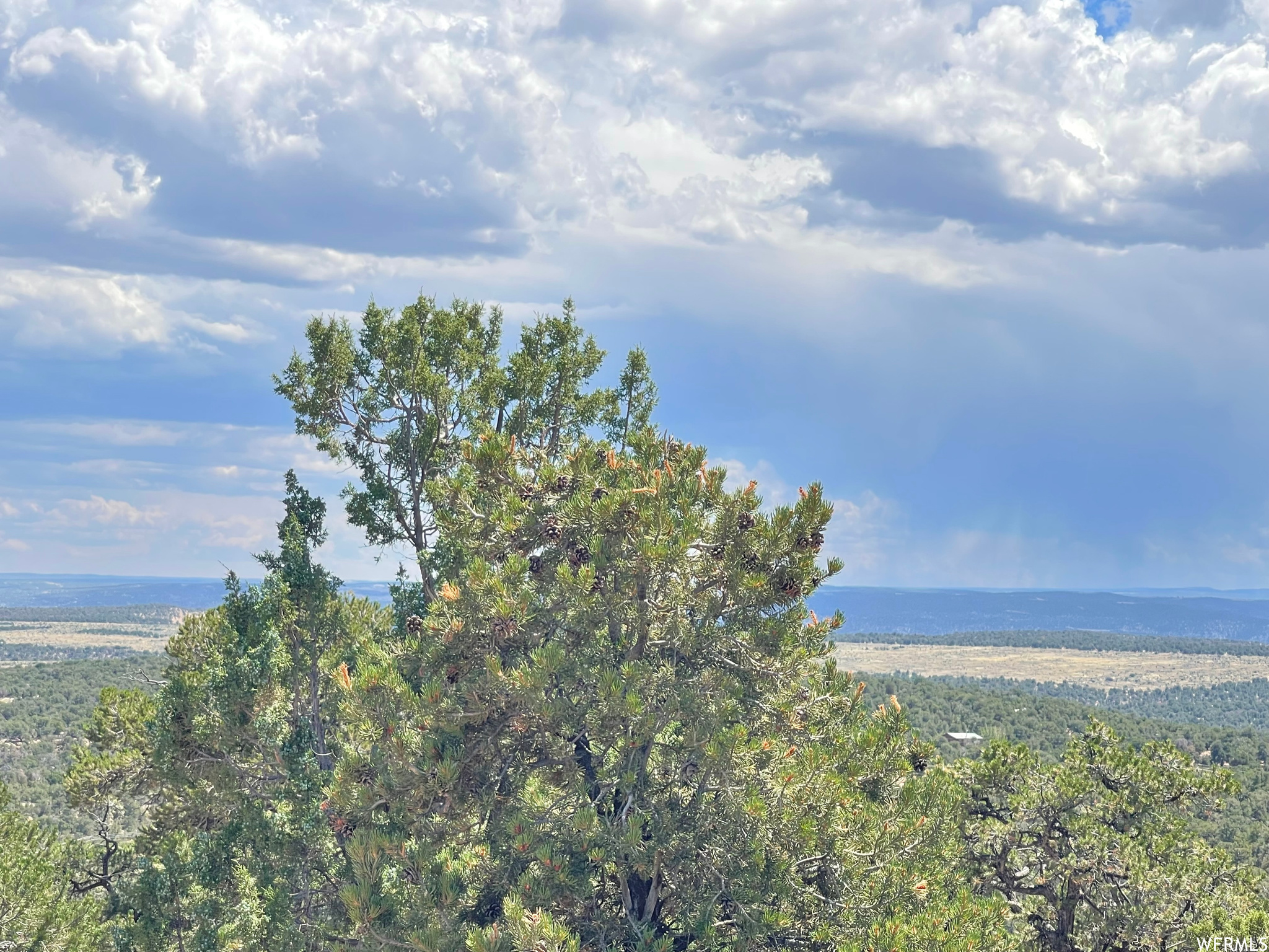 9 Lot 120 Cedar Mt. #120, Duchesne, Utah image 14