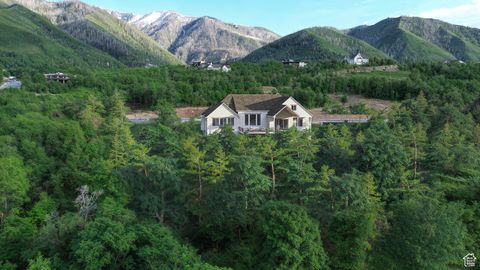 Tiny photo for 1087 S LOAFER DR, Woodland Hills, UT 84653 (MLS # 2091356)