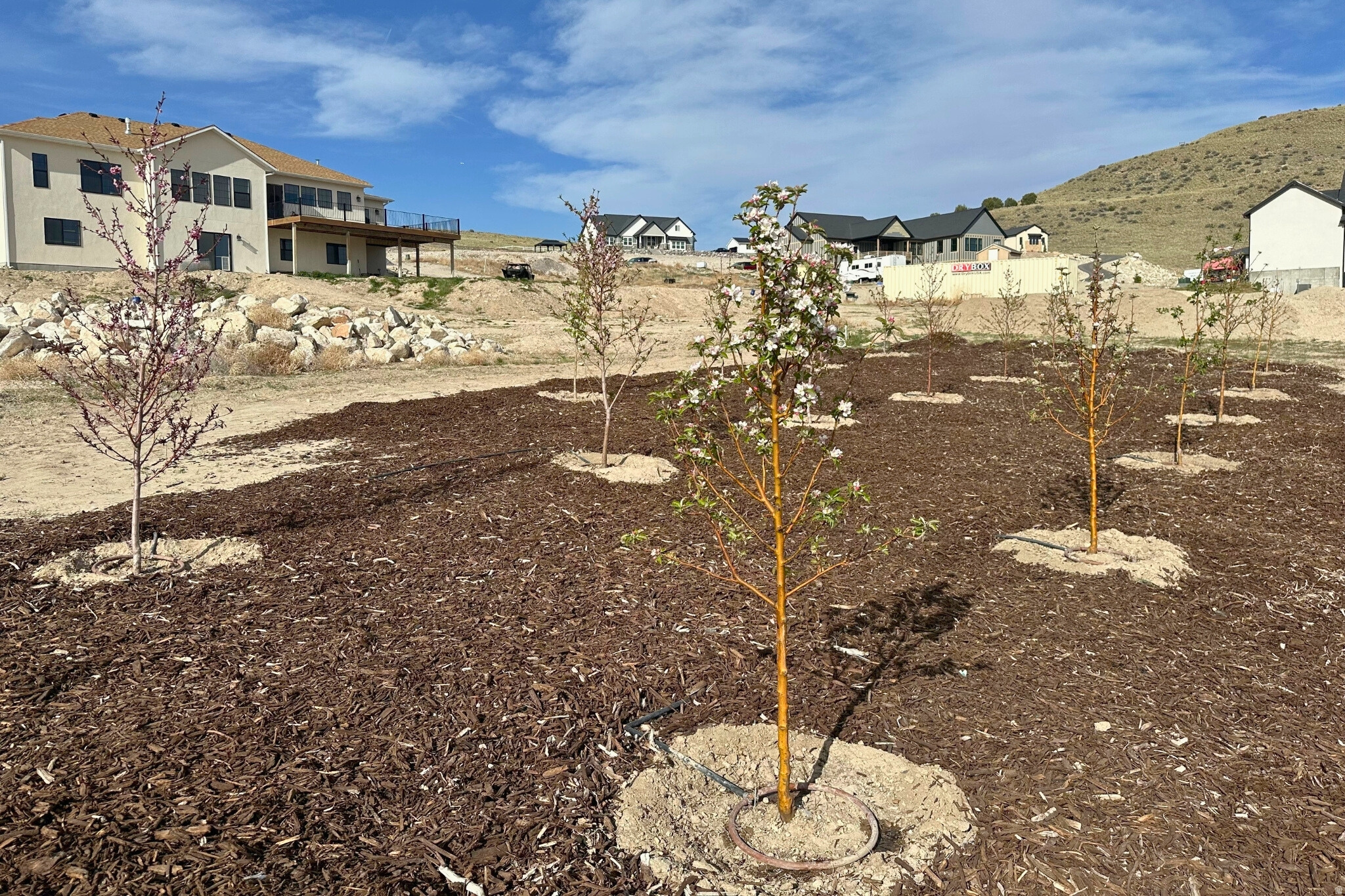 GLENMAR RANCHES - Residential