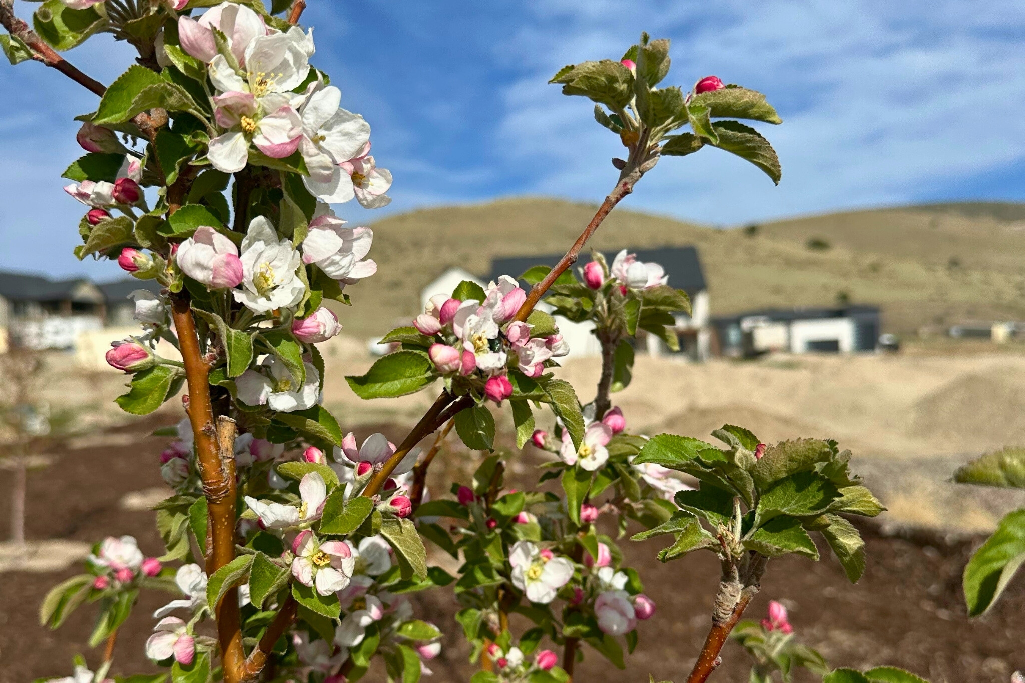 GLENMAR RANCHES - Residential