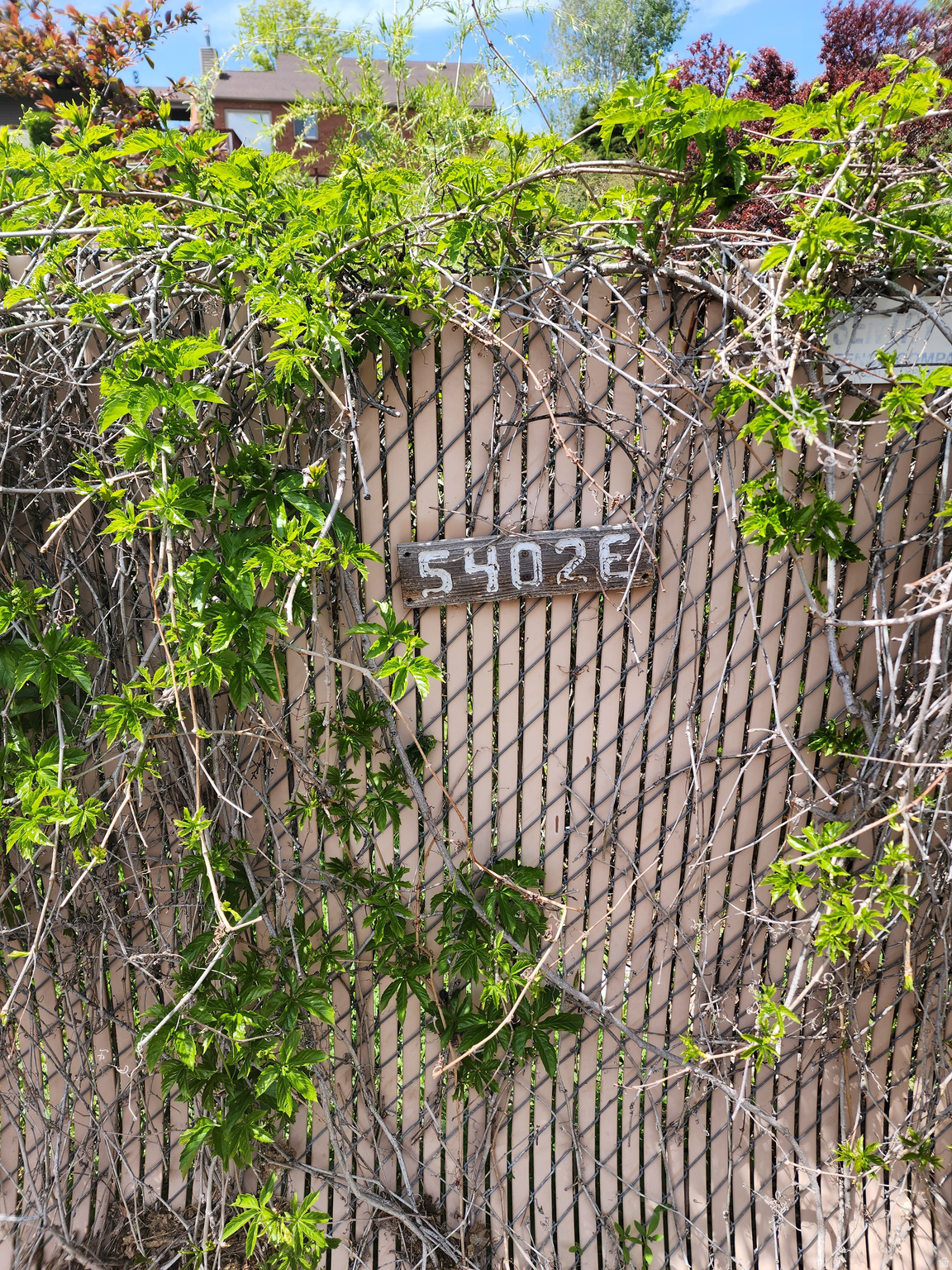 THE WILLOWS - Residential