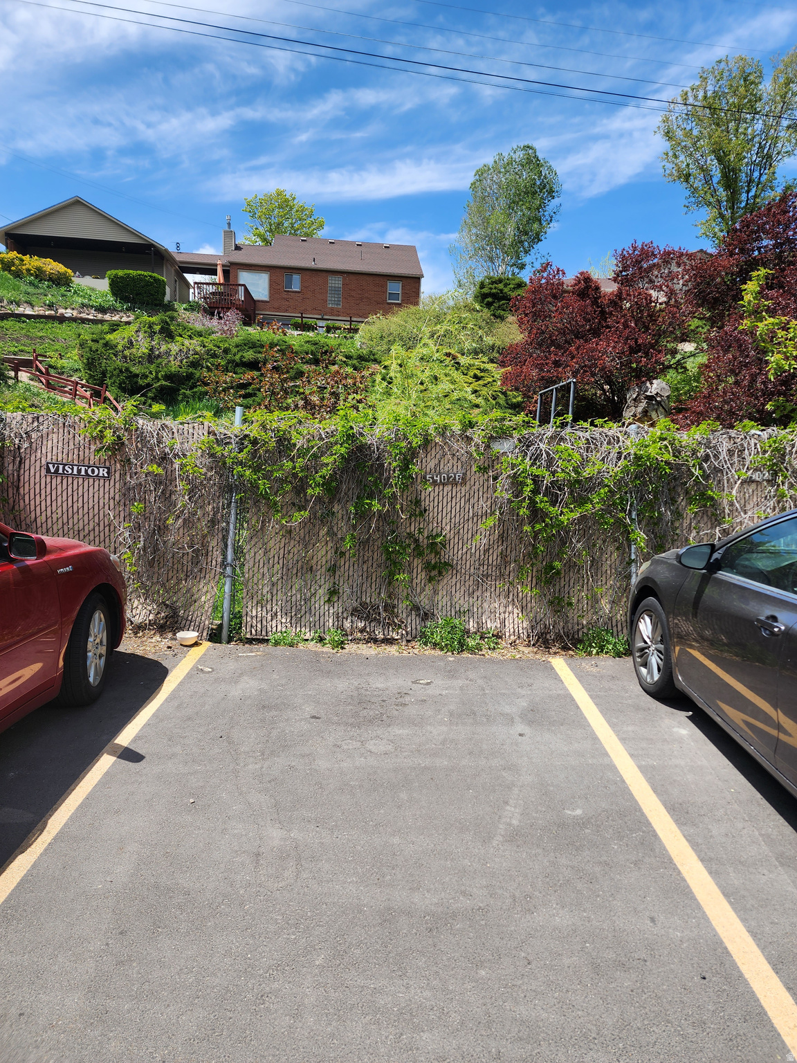 THE WILLOWS - Residential