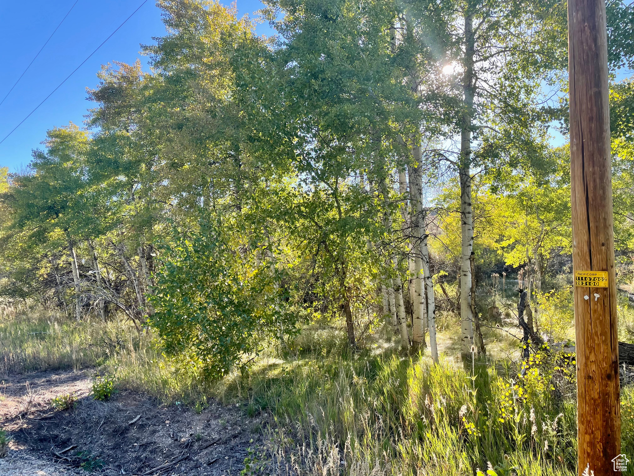 Land, Huntsville, Utah image 4