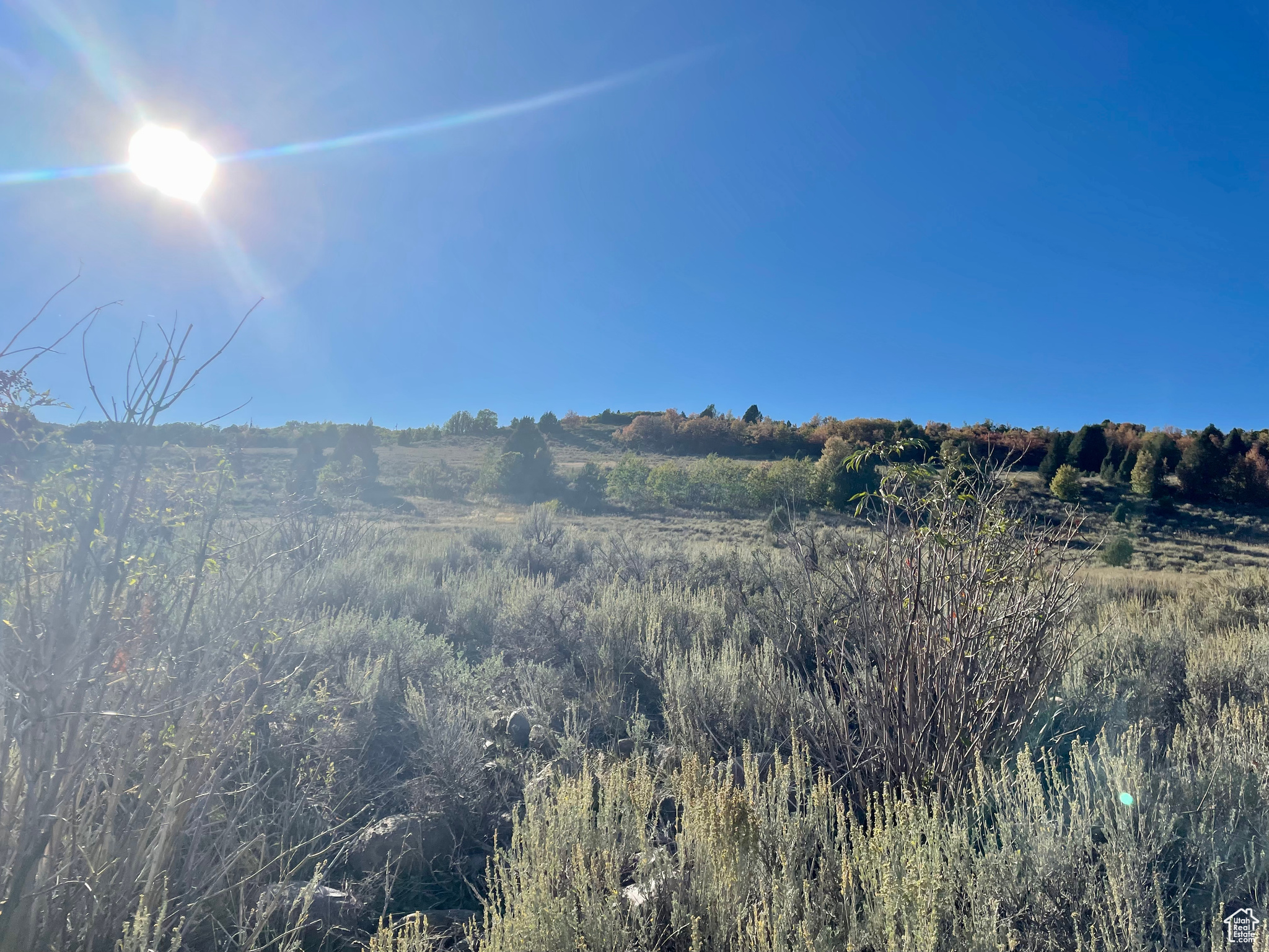 Land, Huntsville, Utah image 1