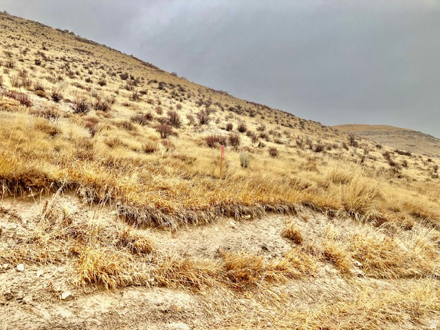 ROCKPORT RANCHES - Land