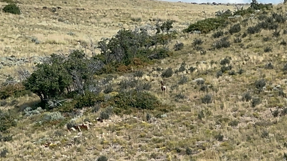 ROCKPORT RANCHES - Land