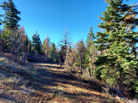 Tiny photo for #10, Mt Pleasant, UT 84647 (MLS # 2186368)
