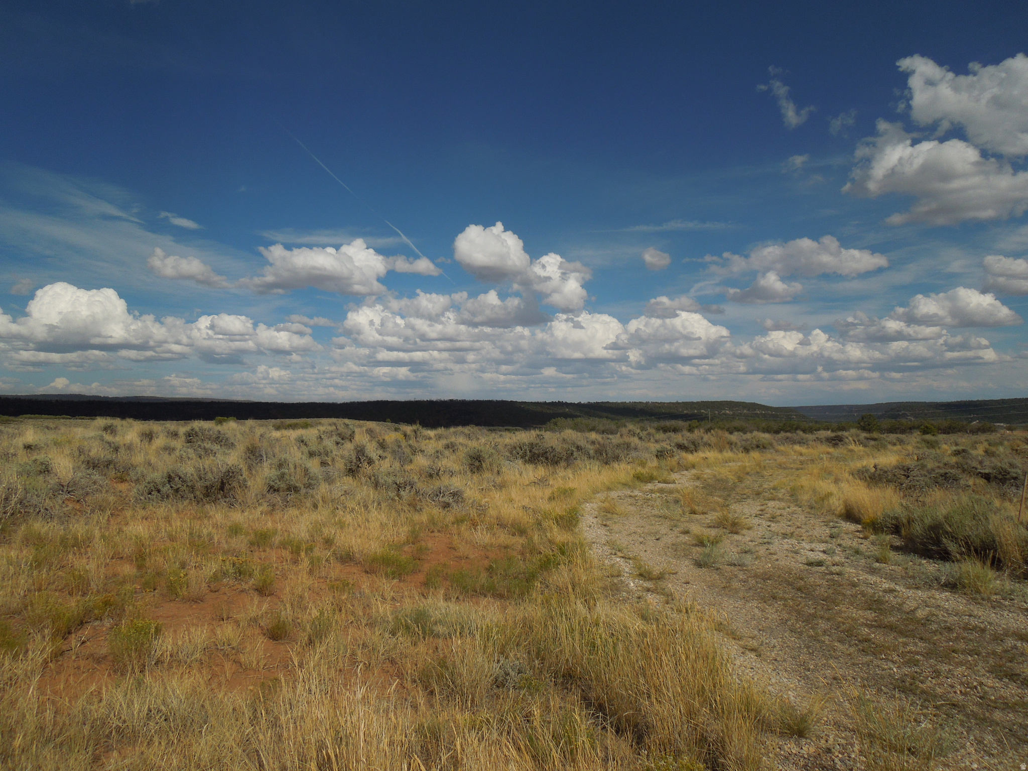 SPRING DRAW SUBDIVISION PHASE 2 - Land