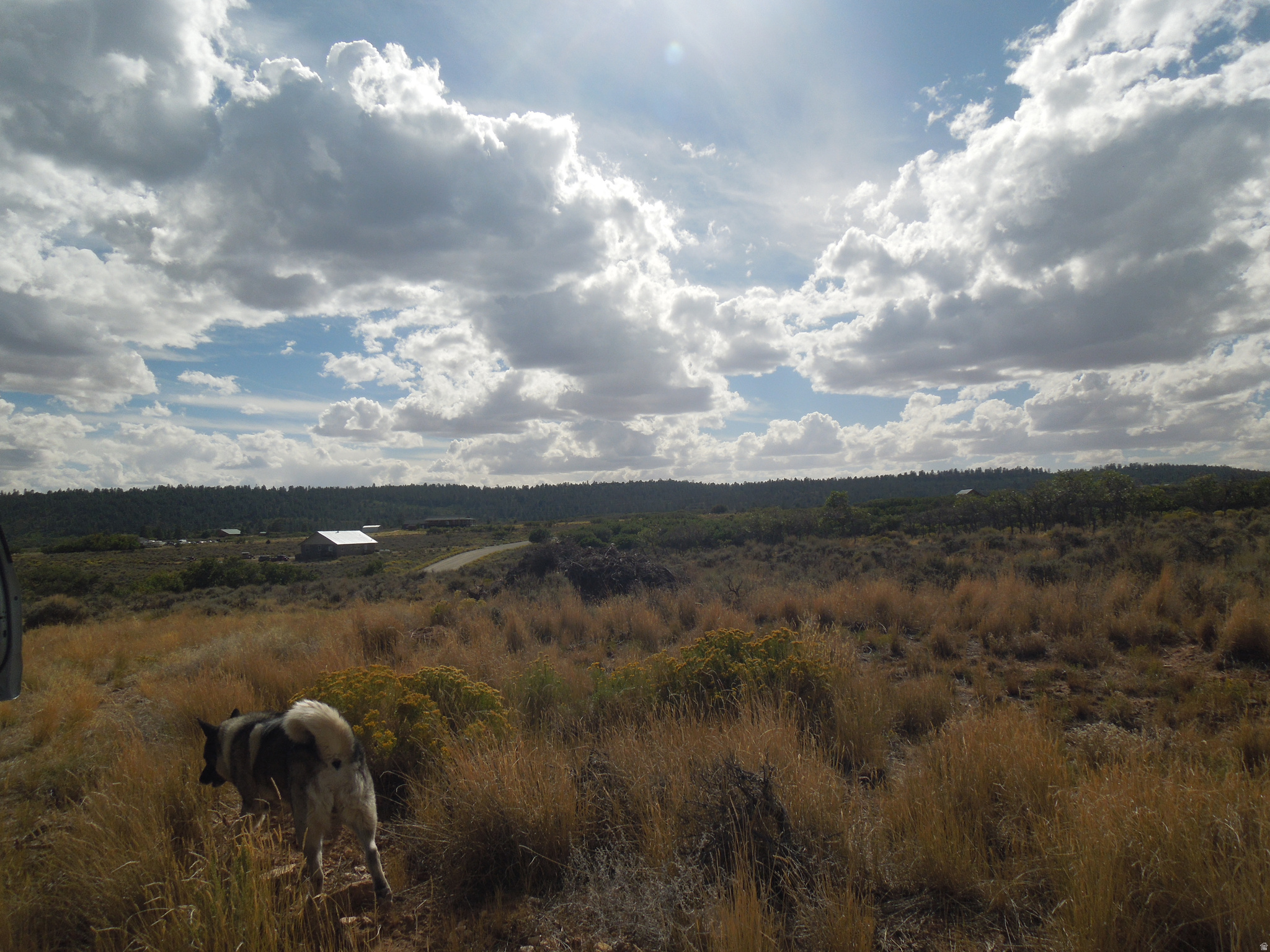 SPRING DRAW SUBDIVISION PHASE 2 - Land