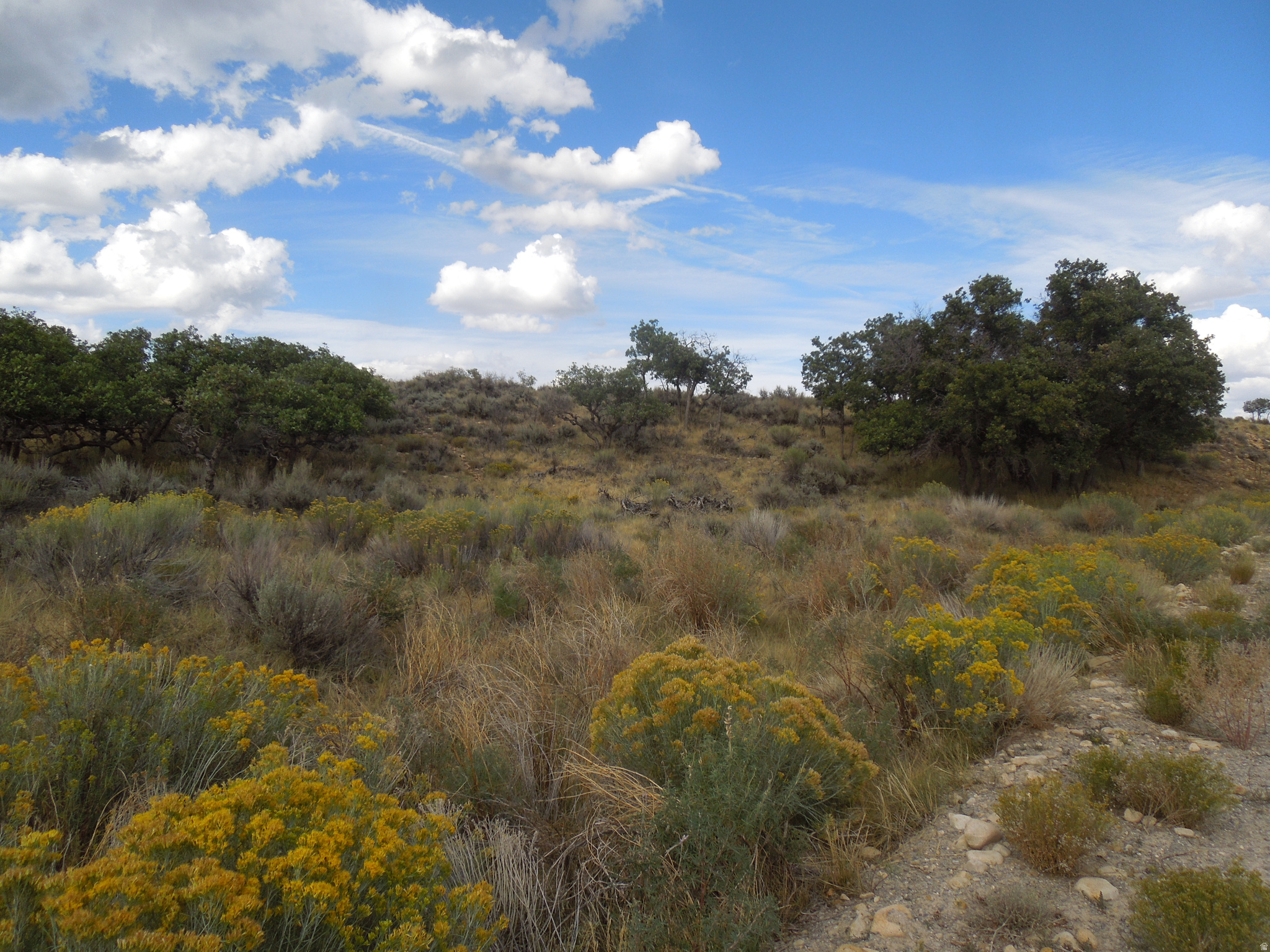 SPRING DRAW SUBDIVISION PHASE 2 - Land