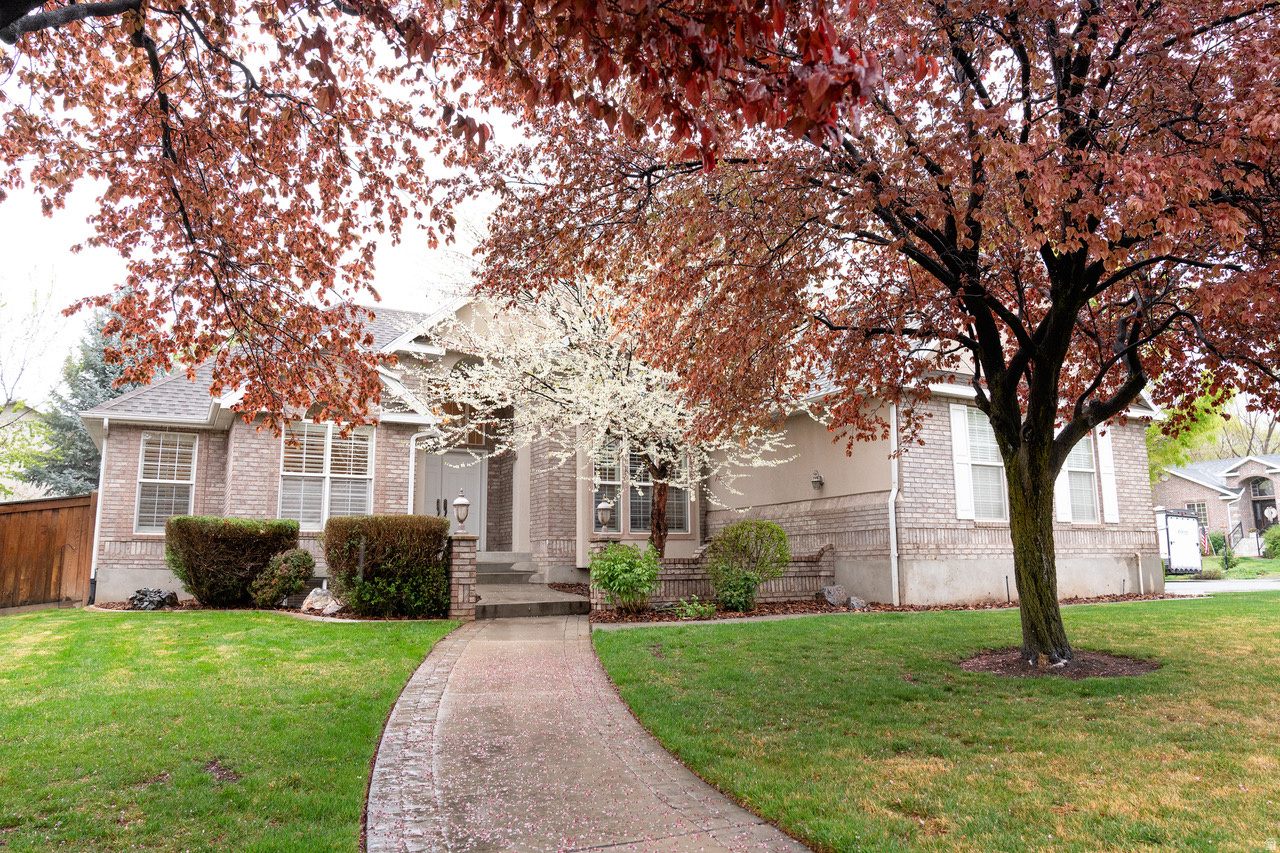 COUNTRY SPRINGS - Residential