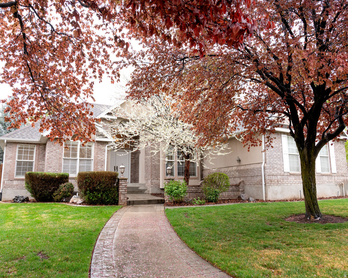 COUNTRY SPRINGS - Residential