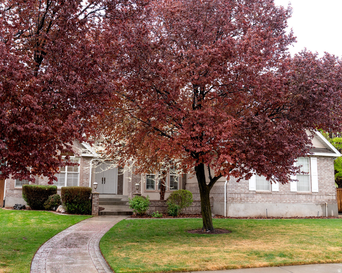 COUNTRY SPRINGS - Residential