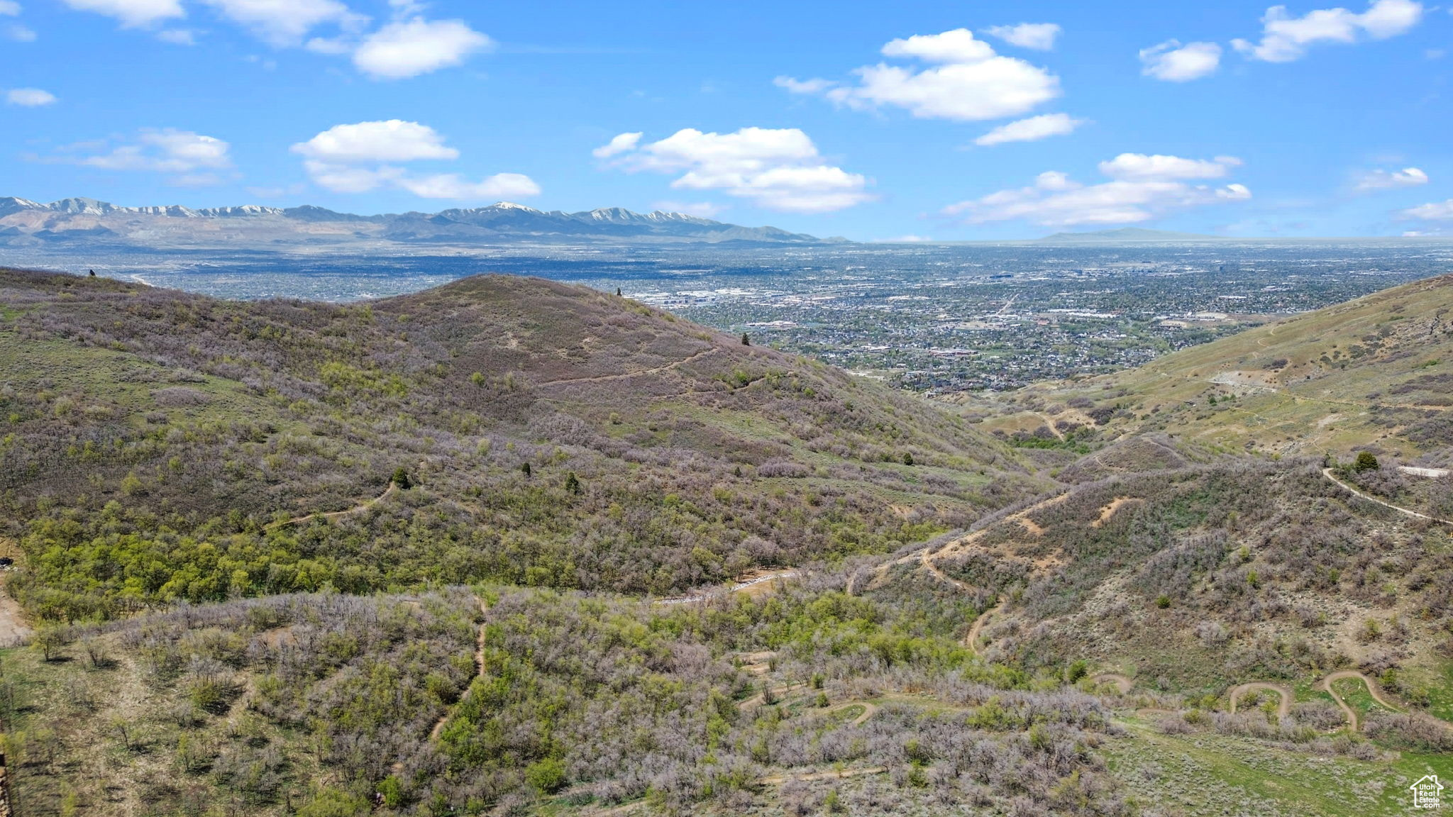 HIDDEN CANYON ESTATE - Residential